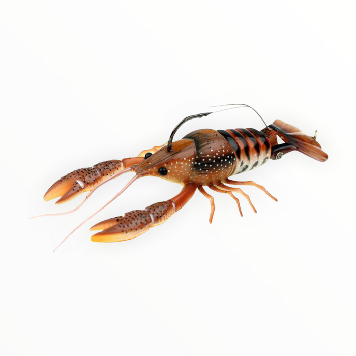 River 2 Sea Clackin Crayfish- Brown Orange