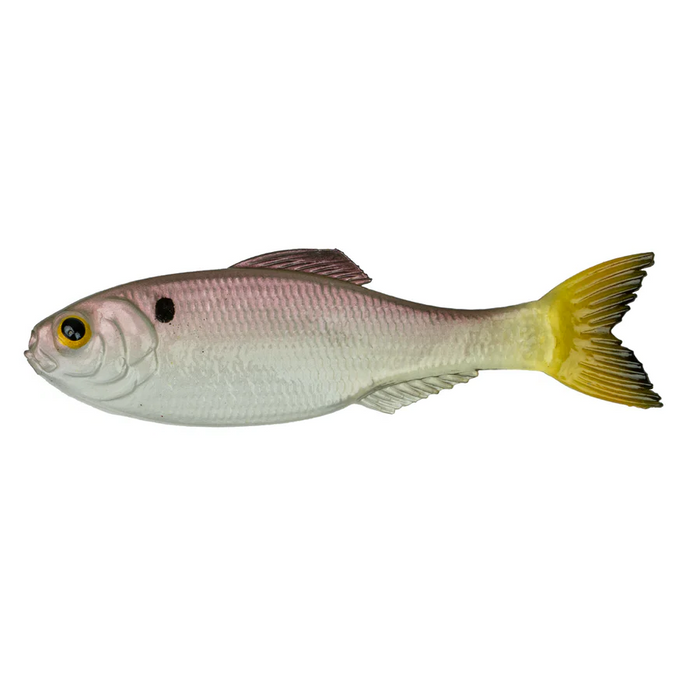 6th Sense Panorama- Ghost Pro Shad