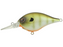 Berkley Dime Crankbait- Killer Gill