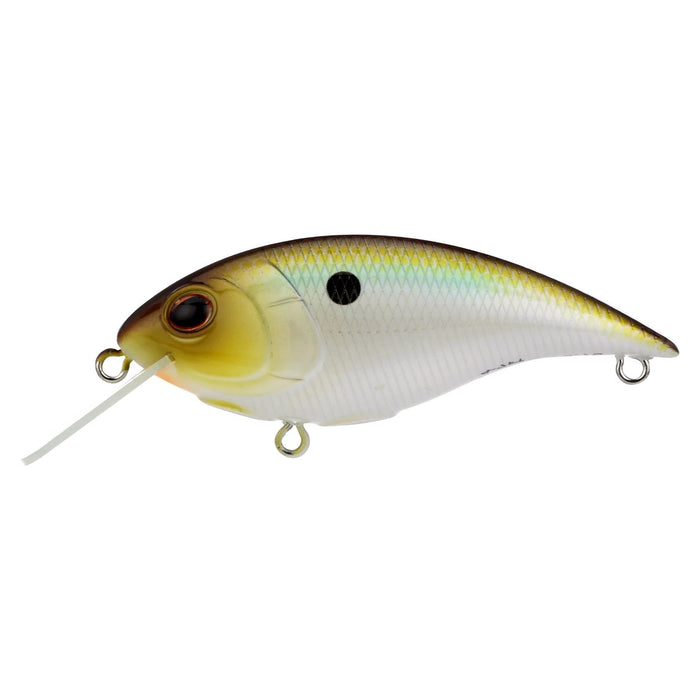 Berkley Shallow Money Badger- Tennessee Shad