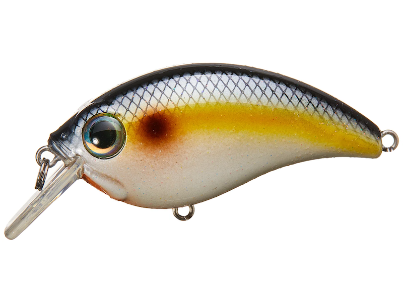 Bill Lewis ATV Squarebill Crankbait- Sneaky Shad