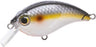 Bill Lewis ATV Squarebill- Sneaky Shad