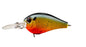 BleedingSunfish.jpg