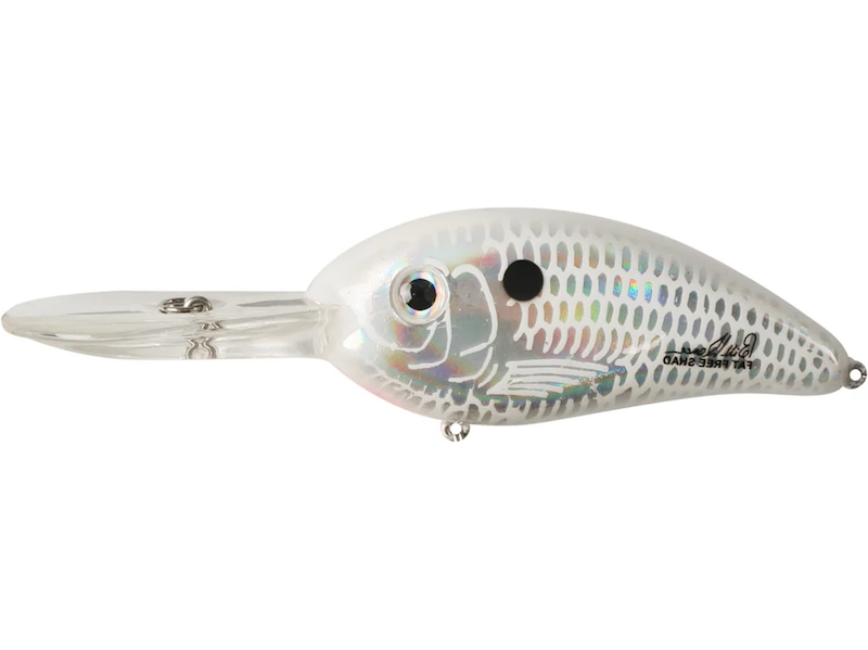 Bomber Lures BD5MDCS Fat Free Guppy Fishing Lure (Dance's Citrus Shad, 2  3/8), Fishing -  Canada