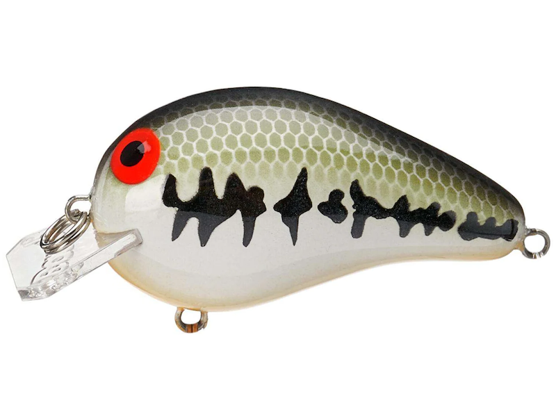 Bomber Model A B04 Gen 2- Baby Bass Orange Belly Square Lip