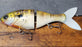 Bucca Brand Trick Shad- JBC Gill