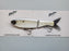 Clutch Swimbait Co. Darter Glide Bait- Silver Illusion