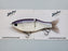 Clutch Swimbait Co. Eco Glide Bait- Purple Back