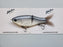 Clutch Swimbait Co. Eco Glide Bait- Steel Shad