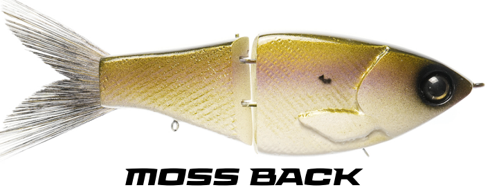 Clutch Swimbait OG Moss Back