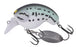 Daiwa Mr. Fortune Wakebait- Bass
