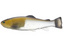 Defiant 210 Swimbait 8.25"- Ghost Carp