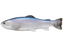 Defiant 247 Swimbait 9.75"- Baitfish