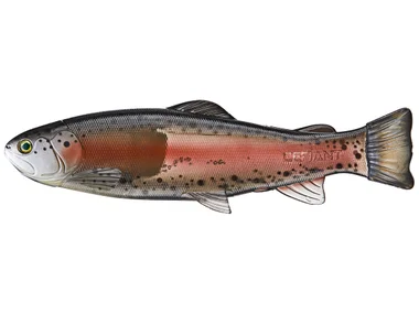 Defiant 247 Swimbait 9.75"- Ghost Dark Trout