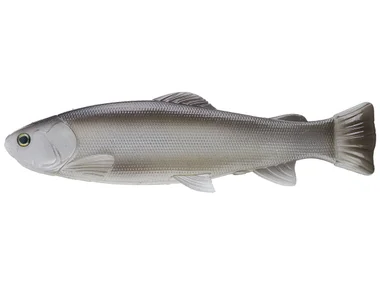 Defiant 247 Swimbait 9.75"- Silver Shad