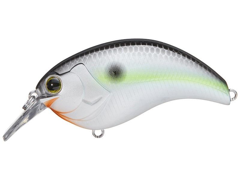 Deps Evoke Crankbait- Black Back Shad