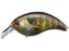 Deps Evoke Crankbait- Real Blue Gill