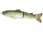 Deps Slide Swimmer- Butch Brown Bass