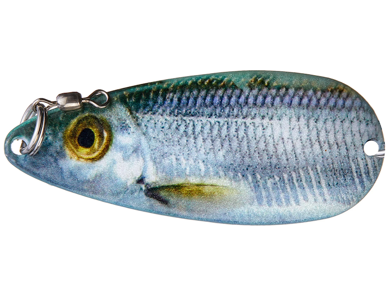 Dixie Jet Pro Series Gizzard Spoon Silver Shiner 1.35oz