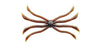 Fish Magnet Octopus- Green Pumpkin