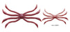 Fish Magnet Octopus- Premium Natural Worm