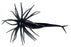 Fluke Urchin BnB