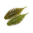 Geecrack Bellows Gill Floating Elastomer- Green Pumpkin Chart