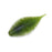 Geecrack Bellows Gill Floating Elastomer- Weed Gill