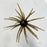 Texoma Tungsten Apex Cluster