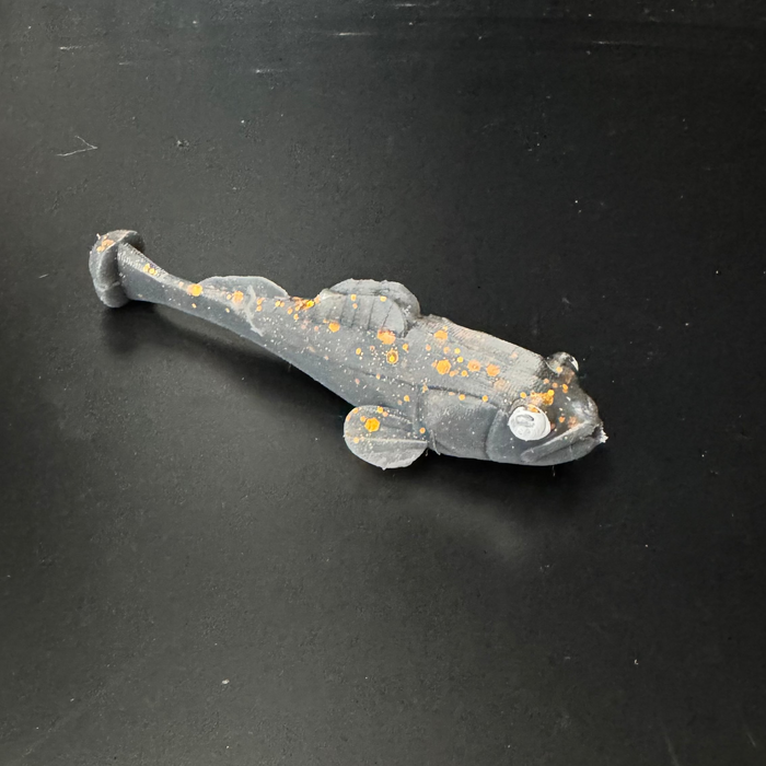 HMB Rusty Trombone 5