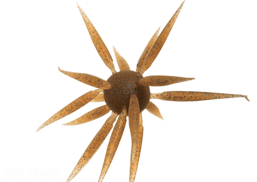 Hideup Coike Fish Elastomer - Moebi