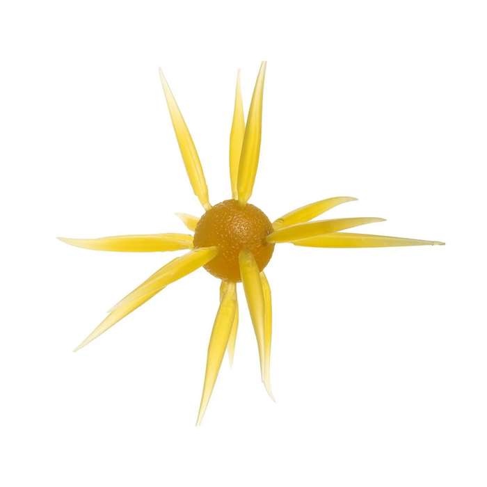 Hideup Coike Fish Elastomer L- Kurinkintoki