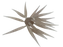 Hideup Coike Fish Elastomer M- Ebi Dappi