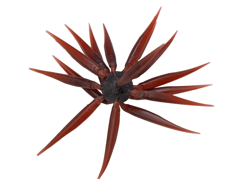 Hideup Coike Fish Elastomer M- Scuppernong
