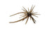 Hideup Coike Mini Creature Bait- Green Pumpkin Pepper Blue Flake