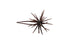 Hideup Coike Mini Creature Bait- Green Pumpkin
