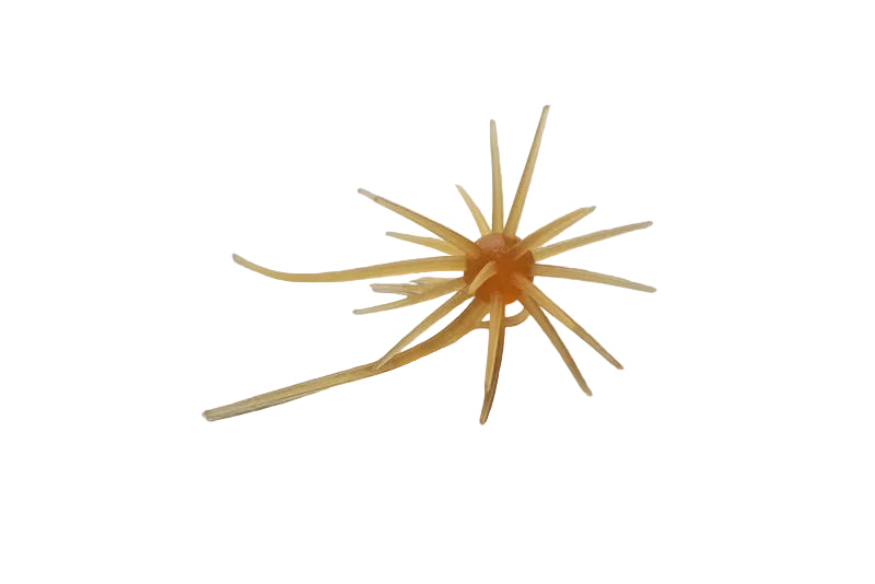 Hideup Coike Mini Creature Bait- Kurinkintoki