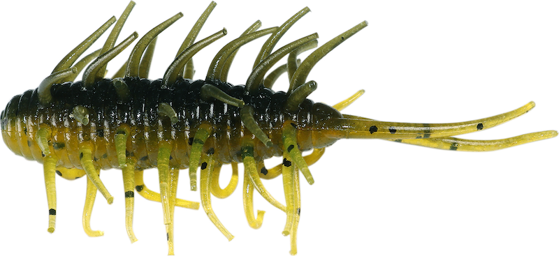 Hideup Coike Shrimp- Grasshopper
