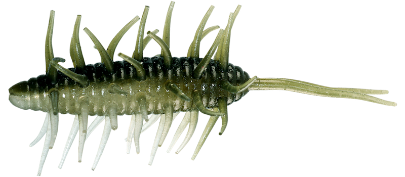 Hideup Coike Shrimp Big- Ayu