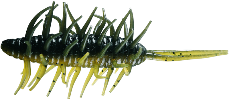 Hideup Coike Shrimp Big- Grasshopper