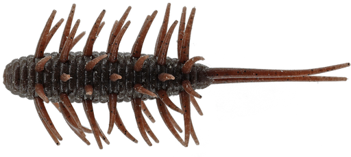 Hideup Coike Shrimp- Green Pumpkin