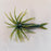 TMF Jerkin Urchin