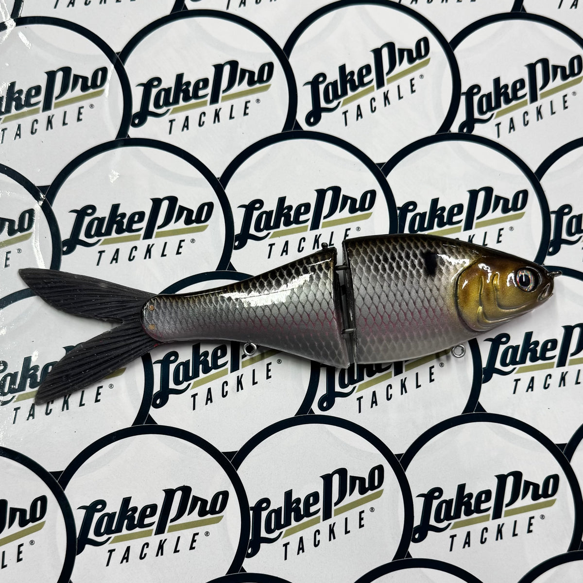Fish Everything Taxi Shad 7