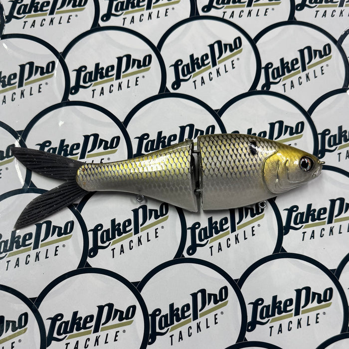 Fish Everything Taxi Shad 7