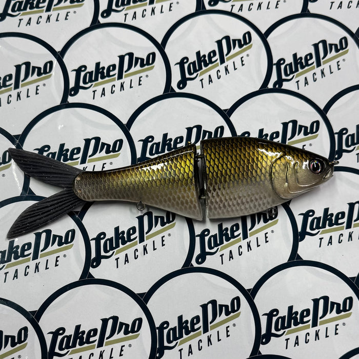 Golden Shiner