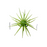 Hideup Coike Fullcast Creature Bait- Chart Green Gold Flake