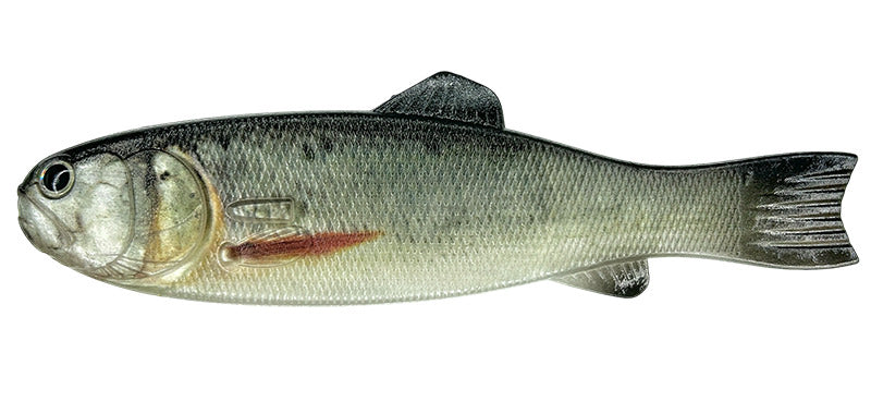 Imakatsu Bass Worm Flat 145- Hasu