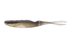 Jackall Bital Minnow- Japan Shad