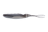 Jackall Bital Minnow- Numeri Smoke Shad