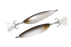 Jackall Counter Back Spoon- Classical Bait